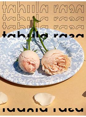 TR美国克朗峡谷Crow CanyonHome大理石泼墨法郎搪瓷沙拉盘2件包邮