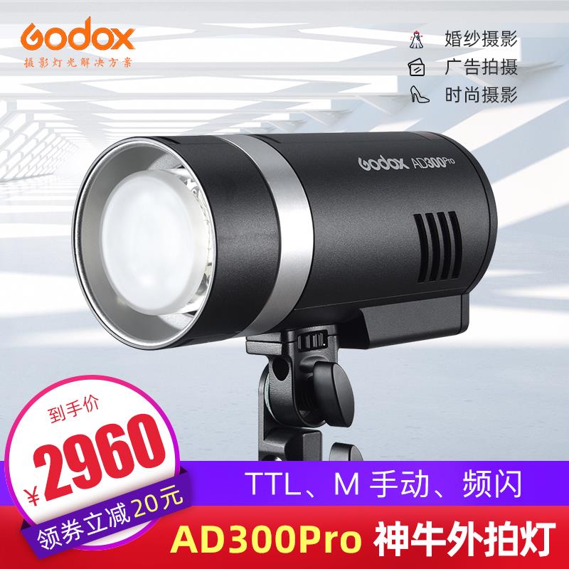 Godox Ad300Pro户外拍摄闪光灯户外人像工作室摄影灯Ttl高速测光