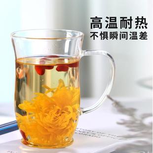 茶杯日式绿茶玻璃杯三件套茶水分离男泡茶杯耐高温玻璃女花茶水杯