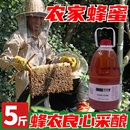 百花蜂蜜5斤农家正宗土蜂蜜大瓶装 野生天然纯正真蜂蜜商用百花蜜