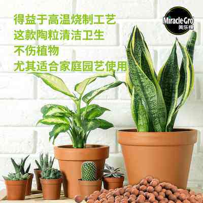 美乐棵轻质陶粒垫底养花专用多肉花盆铺面水培防烂根透气大陶粒