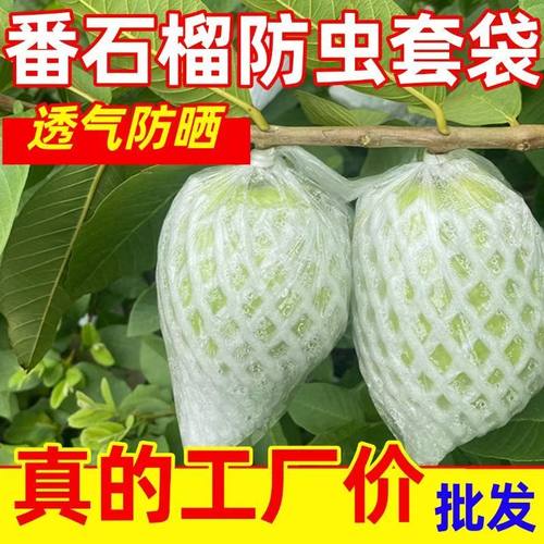 番石榴套袋防虫网芭乐一体网袋泡沫水果网套100套批发石榴专用袋