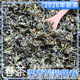 2026年春茶碧螺春浓香耐泡峨眉山毛尖新茶叶茗茶炒青绿茶袋装 散装