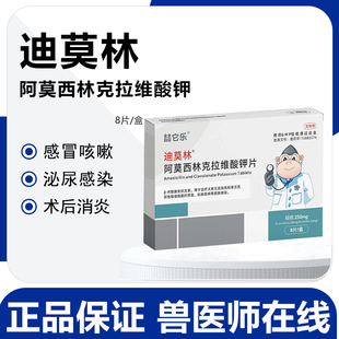 汉维莫比新宠物猫咪感冒消炎药猫用速诺阿莫西林克拉维酸钾片狗狗