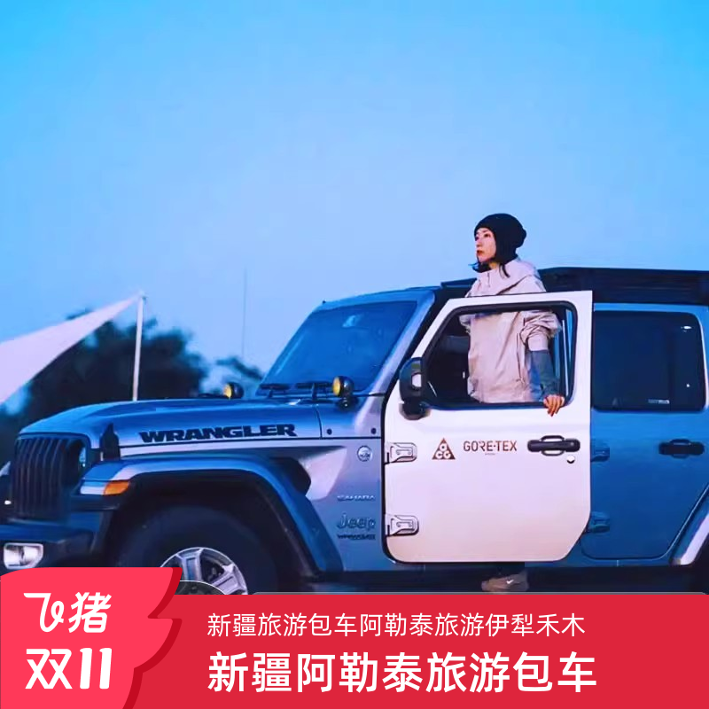 新疆1-8天旅游包车