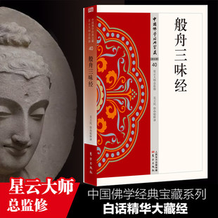 【现货正版】般舟三昧经 中国佛学经典宝藏 星云大师总监修 白话精华大藏经 佛学读物 东方出版社