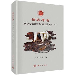 精致考古：山东大学实验室考古项目论文集 一