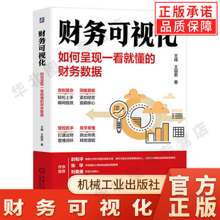 正版财务可视化如何呈现一看就懂的财务数据 王峰 机械工业 分析管理行动 视觉工具 业财融合思维底层逻辑量化指标 战略决策教程书