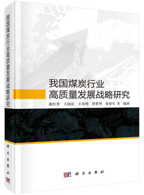 我国煤炭行业高质量发展战略研究/康红普