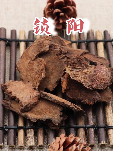 中药材锁阳锁阳片金锁阳500g克索阳引锁阳切片地索阳片索阳金索阳