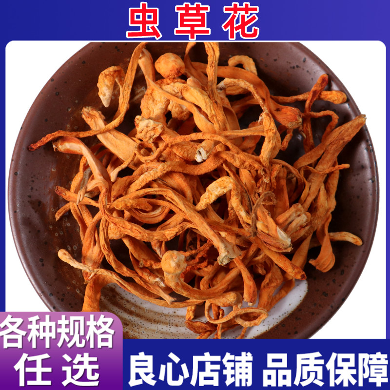 虫草花 孢子头虫草花 中药材 北虫草金虫草蛹虫草 各种规格包邮