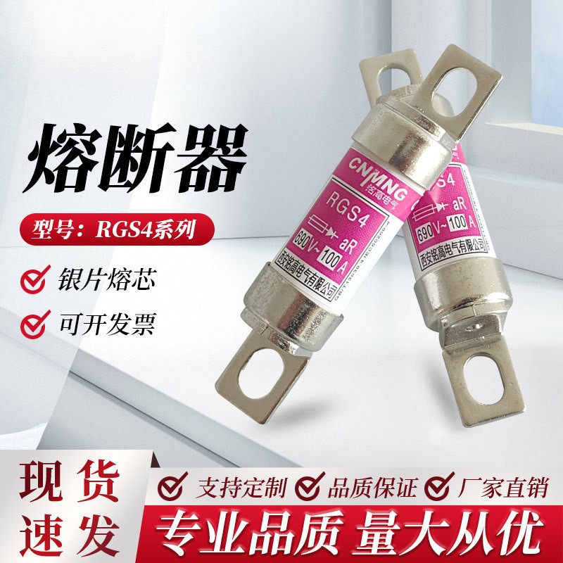 RGS4 AC690V快速熔断器RS308-HB/660GH/EV88/RSG100A