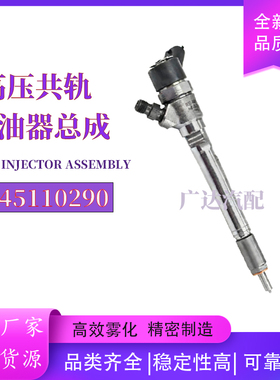 0445110290共轨喷油器0445110126适用现dai发动机 33800-27900