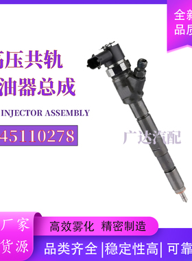 0445110278 全新柴油共轨喷油器 33800-4A600 适用于 D4CB VGT