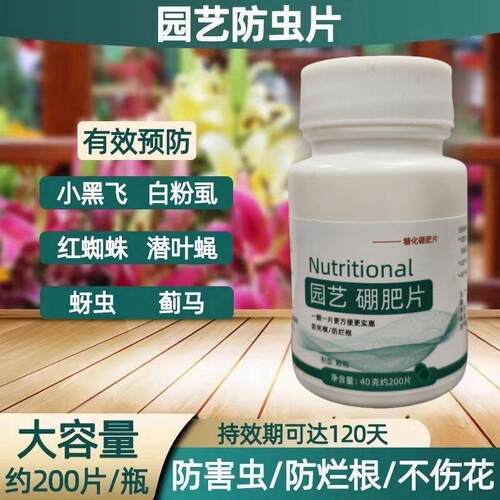 园艺防虫片防小黑虫飞蚜虫白粉虱菜蛾飞虫花卉菜地盆栽花卉植物