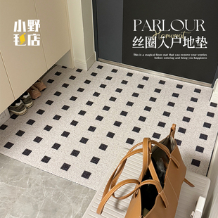 入戶門(mén)絲圈地墊腳墊小眾簡(jiǎn)約門(mén)墊pvc耐臟防滑墊門(mén)口進(jìn)門(mén)墊可裁剪