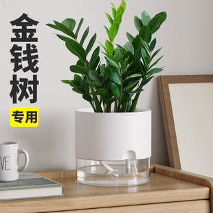 北欧小号金钱树专用花盆家用客厅创意盆栽懒人自吸水盆轻奢高级感