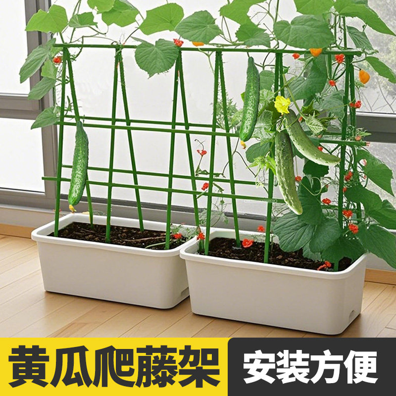 黄瓜爬藤架豆角蔬菜架杆植物固定支撑杆架子丝瓜番茄种菜专用架子,鲜花速递/花卉仿真/绿植园艺,花架,淘宝优惠券,粉丝福利购,淘宝优惠卷