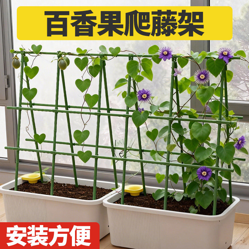 西瓜爬藤架园艺植物支撑杆图片