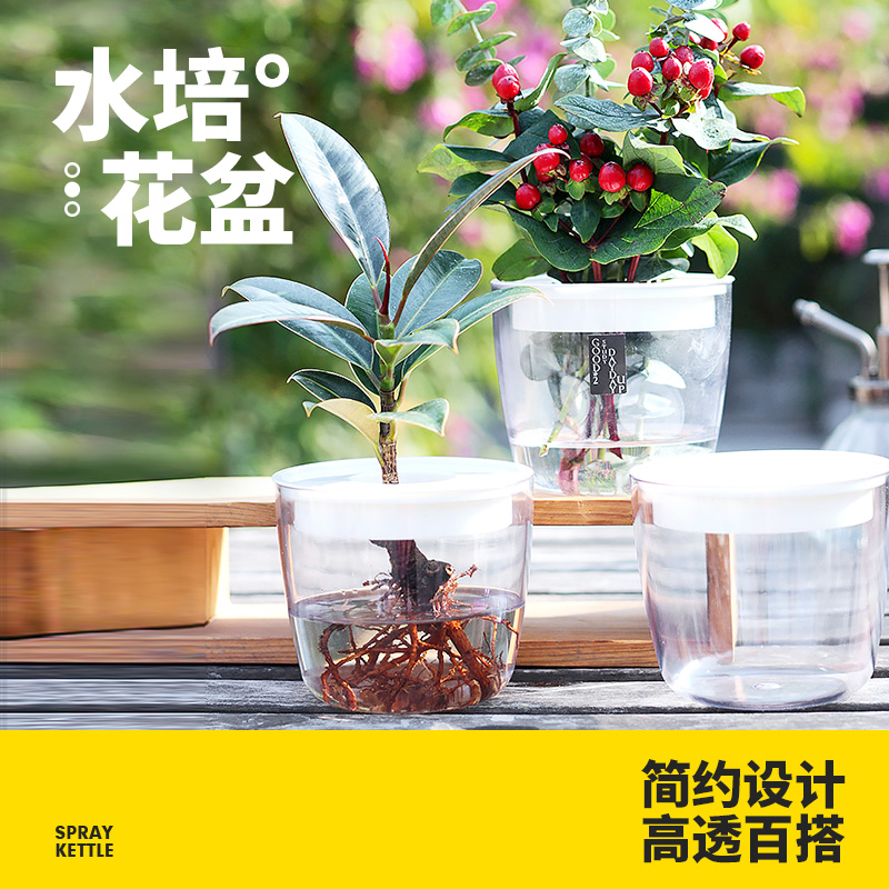 水培器皿定植篮透明花瓶无土栽培
