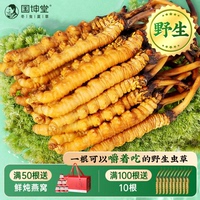 國(guó)坤堂野生新鮮冬蟲(chóng)夏草滋補(bǔ)禮盒