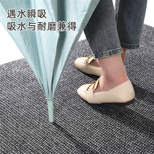门垫入户门脚垫进门地垫门口除尘防滑垫子玄关地毯门外门毯吸水大