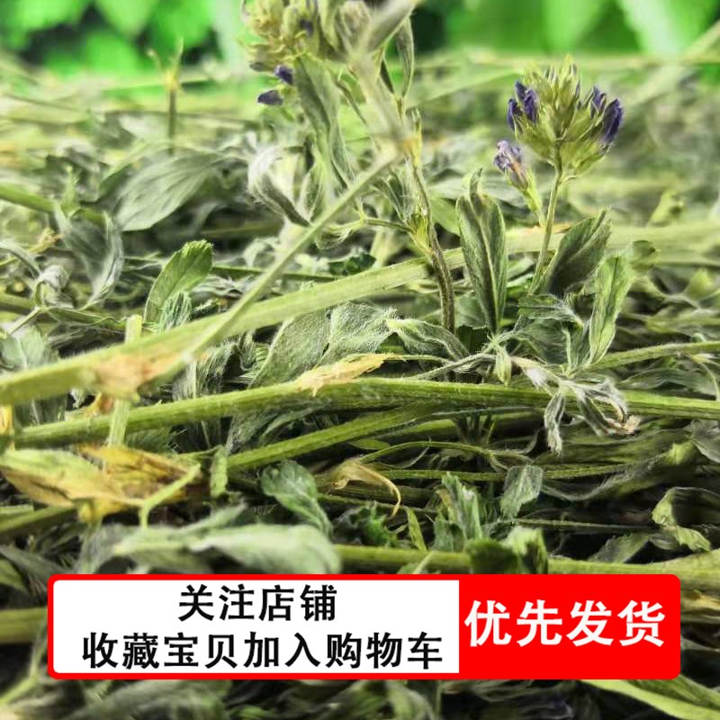 烘干苜蓿草干草新鲜多叶龙猫荷兰兔兔干草
