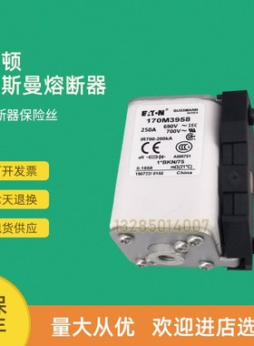 全新快速熔断器保险170M3984 17y0M3985 170M3986 170M3987