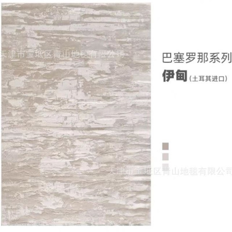 土耳其高级原装客厅茶几s地毯防水防污意式轻奢地毯简约卧室床边