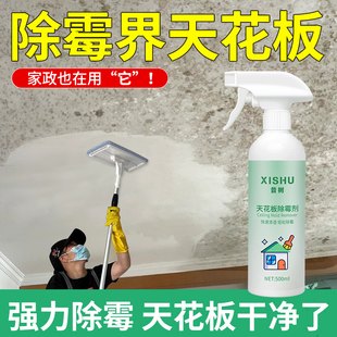 天花板除霉剂去霉菌霉斑清洁墙体吊顶墙壁墙面发霉克星防家用神器