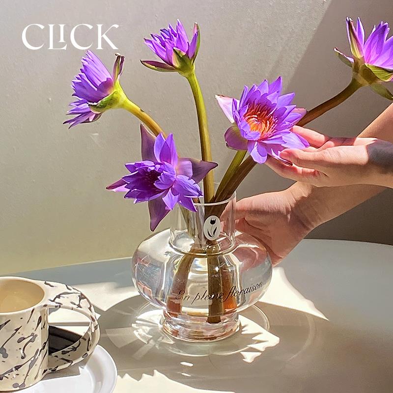 Click大肚扁圆花瓶玻璃花瓶百搭桌面郁金香法文图案法式 ins风