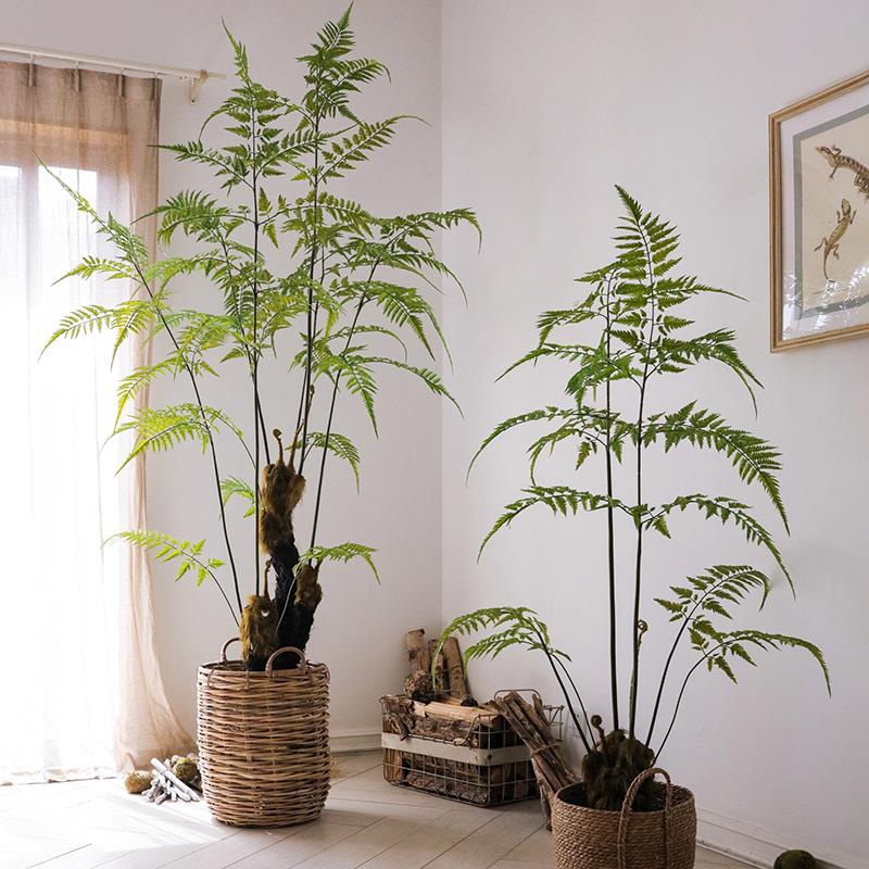 大型仿真蕨类绿植金毛狗蕨猴头蕨仿生植物茶室落地客厅摆件侘寂风