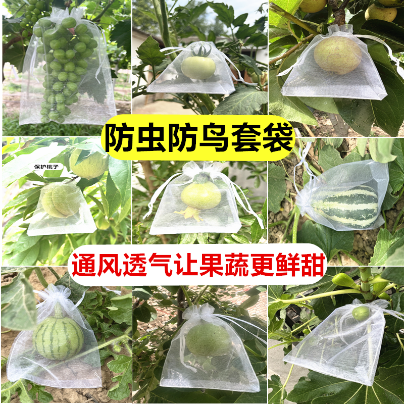 果树防虫套袋防鸟纱布袋保护葡萄袋无花果番石榴草莓套袋桃子套袋-封面