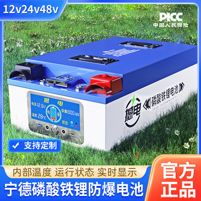 宁德房车专用大容量1000ah电源磷酸铁锂电池12v24v48伏大单体电芯