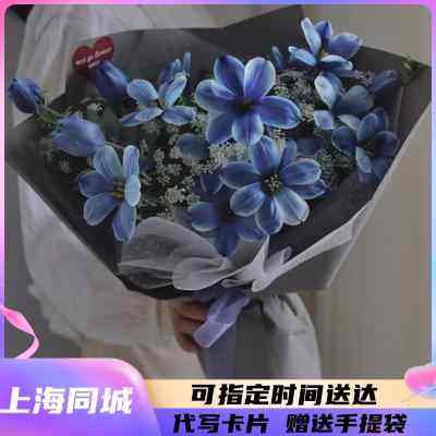 上海同城鲜花速递进口布朗尼吸色郁金香花束妈妈女友闺蜜生日礼物