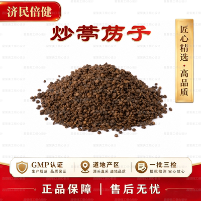 济民倍健炒葶苈子GMP正品药材
