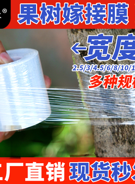 果树嫁接膜缠绕膜包装膜树木保鲜膜保护透明小卷搬家薄膜黑色植物