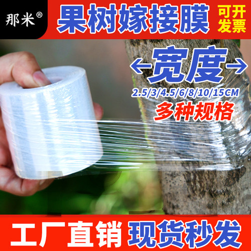 果树嫁接膜透明膜包裹保护树木膜
