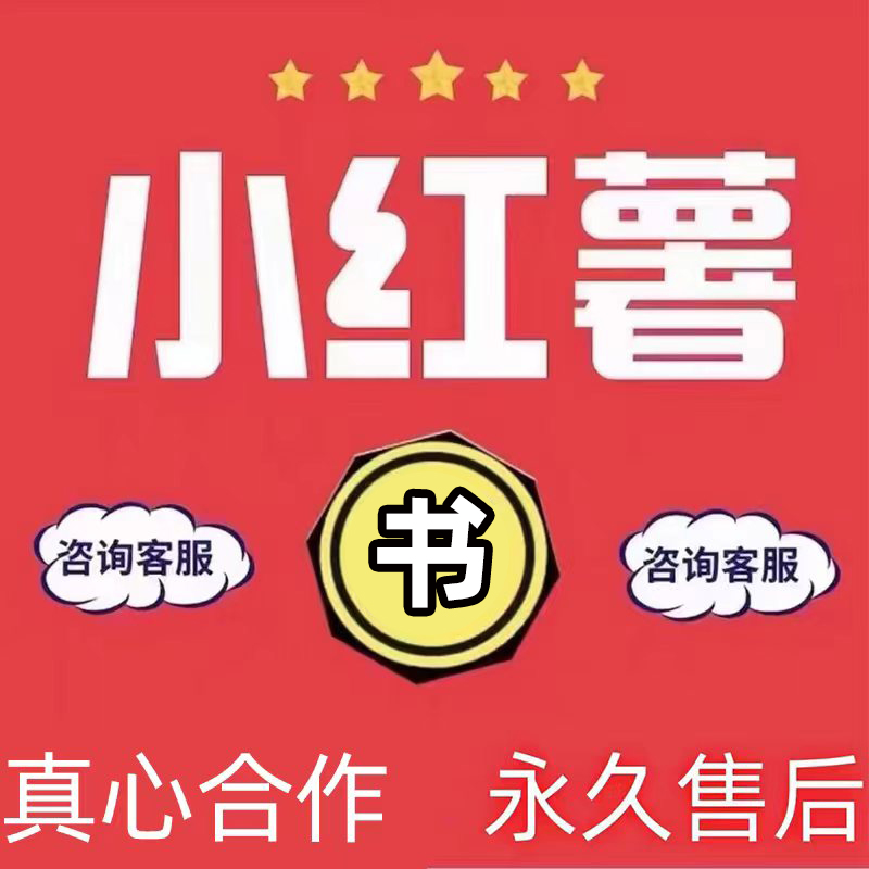 小/红/书/设计策划推店铺广合作品牌广告薯条专业号