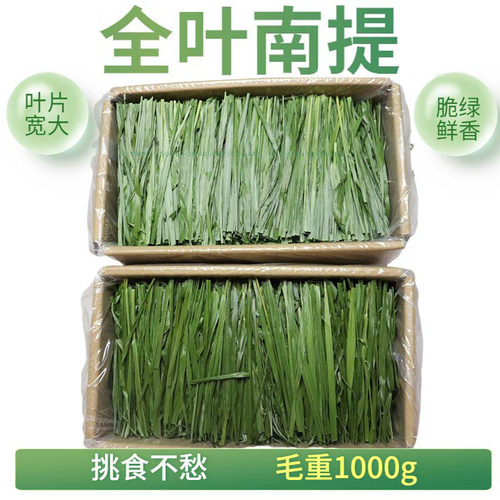 新烘干全叶南提摩西草包退兔子草