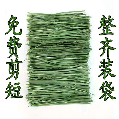 当季新草烘干岷县提草兔子荷兰猪