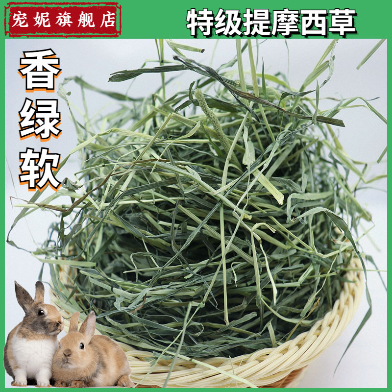 新草2024年头茬提摩西草北提龙猫豚鼠兔粮荷兰猪新鲜饲料5斤包邮