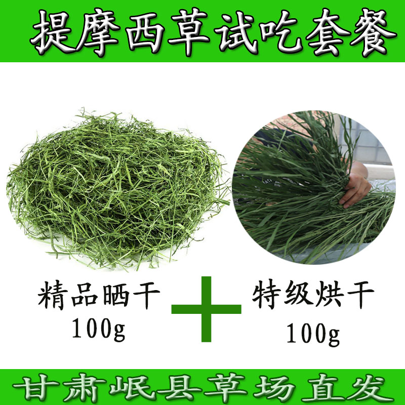 岷县提草试吃兔子龙猫荷兰猪