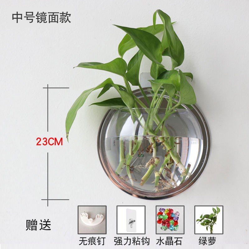 壁挂水培花瓶墙壁壁挂式花盆挂饰鱼缸墙挂挂墙绿箩卧室墙面装饰挂