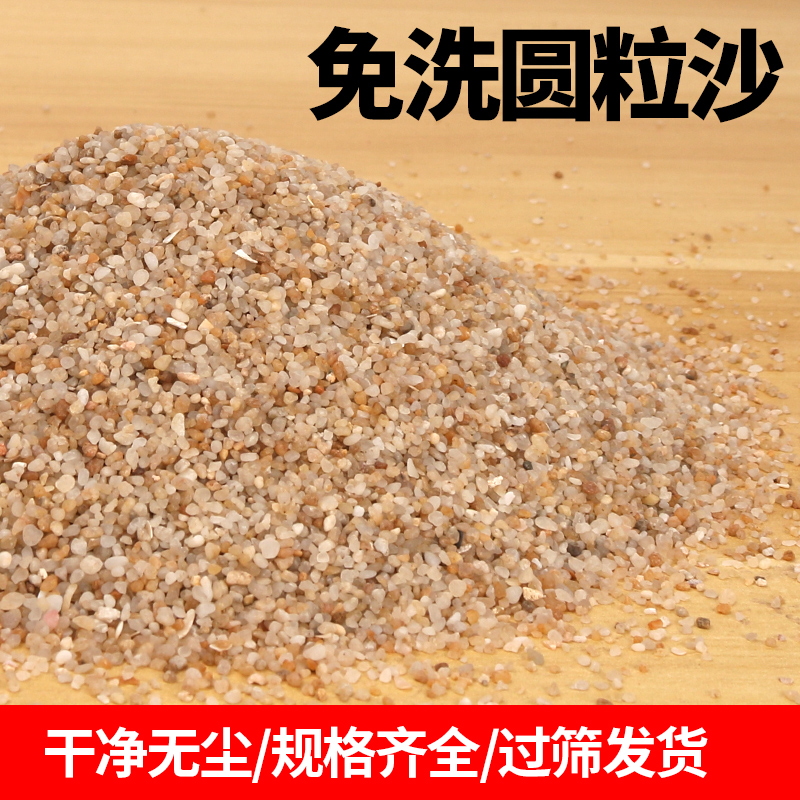天然免洗圆粒砂粗河沙多肉铺面园林造景鱼缸底沙儿童手抓玩细沙子