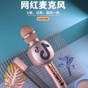 叛逆者Y8户外话筒音响一体无线蓝牙k歌麦克风跨境K歌直播唱歌话筒