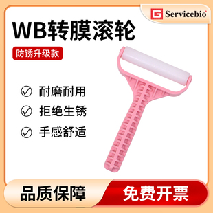 wb转膜滚轮western blot实验专用滚轮 赛维尔Servicebio气泡滚子