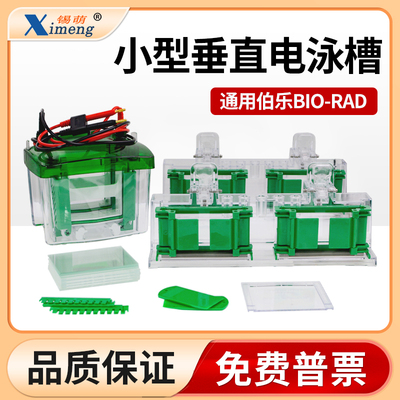 wb小型垂直电泳槽蛋白槽