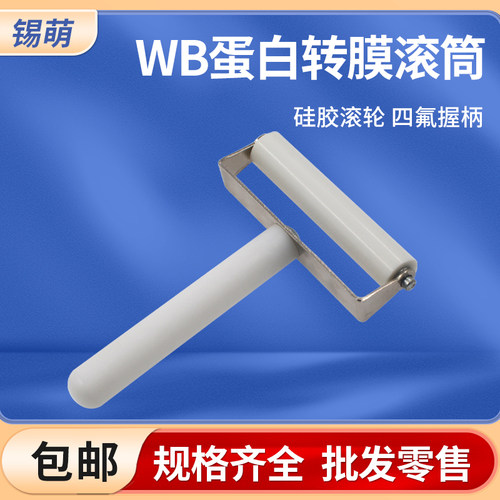 锡萌蛋白转膜滚筒7/8cm
