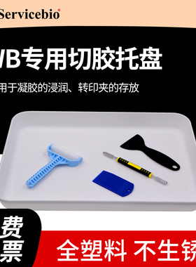 赛维尔WB专用切胶托盘湿转浸润电泳凝胶暂存盒塑料方盒Servicebio